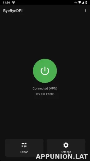 ByeByeDPI скриншот 3
